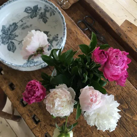 Le Vetrate Sul Amazing View * Nesso