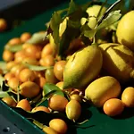 Holiday home Le Vetrate Sul Amazing View