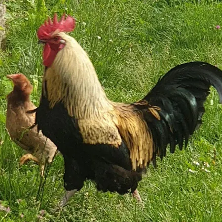 Le Vetrate Sul Amazing View Дом отдыха Нессо