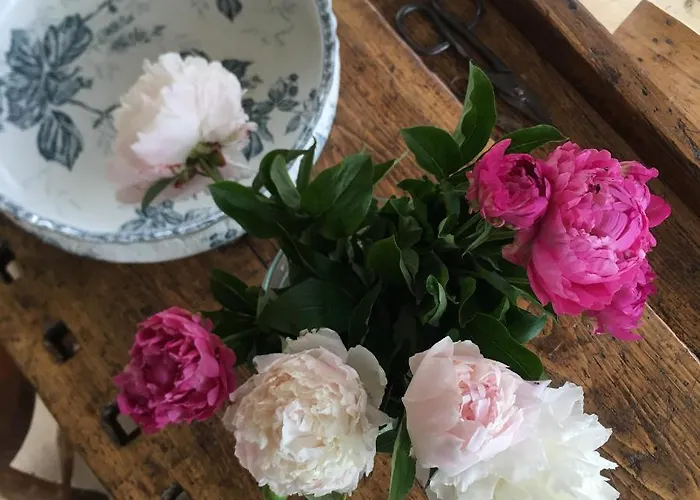 Le Vetrate Sul Amazing View * Nesso