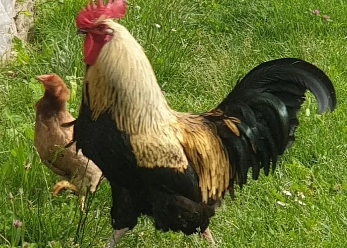 Le Vetrate Sul Amazing View Holiday home Nesso